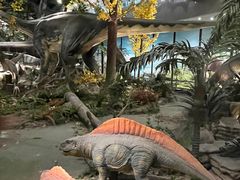 -湖南省地质博物馆