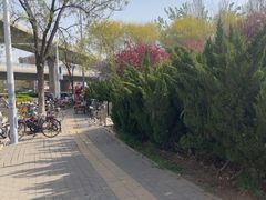 -南翠屏公园