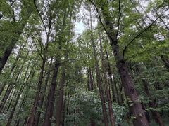 -同里国家湿地公园