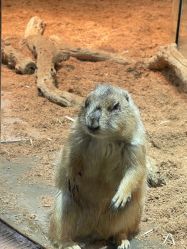 -Zoolung Zoolung动物主题公园(海信广场店)