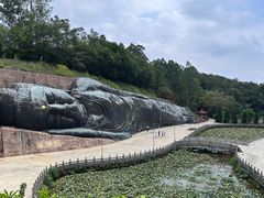 -三水森林公园