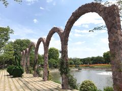 -鹅湖玫瑰文化园