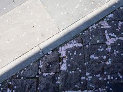 -知味观(湖滨总店)