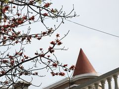 -攀枝花公园