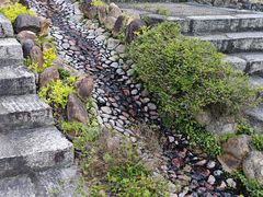 -乡里八闽·福州乡土菜(高宅店)