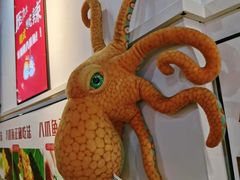 -红辣椒八爪鱼特色韩国料理专门店(远景路旗舰店)
