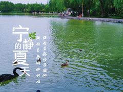 -洛阳市隋唐城遗址植物园