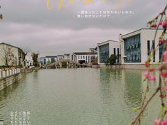 -湘湖金融镇