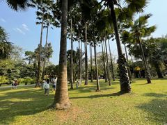 -中国科学院西双版纳热带植物园