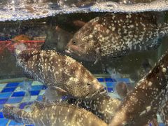 -松雅轩(大源店)