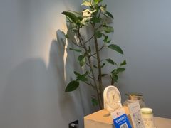 -争渡心理咨询全国连锁(福田店)