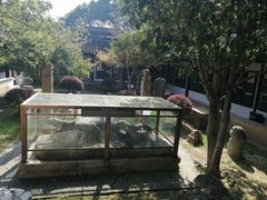 -常熟方塔园