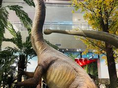 -湖南省地质博物馆