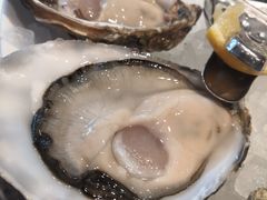 -Oyster Talks 四度蚝法餐厅