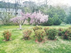 -棒棰岛宾馆景区
