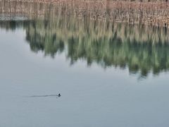 -苏州吴中太湖旅游区