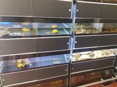 -灵龟之家百象馆(百象馆联合旗舰店)