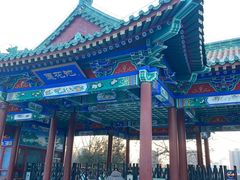 -莲花池公园
