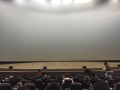 天幕新彩云国际影城-天幕新彩云国际影城(激光巨幕店)