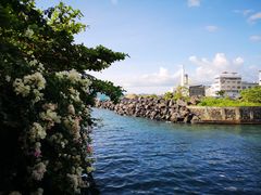 -海盗餐厅