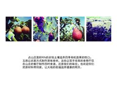 -大连北马山庄