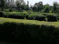-通辽森林公园