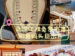 -武汉知音号
