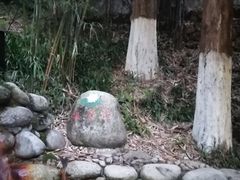 -三江森林温泉度假区
