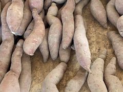 -南沙十九涌渔人码头-南门