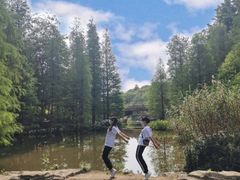 -云溪植物园