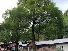 -夏霖九天银瀑风景区