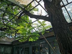 景观位-zarah(鼓楼店)