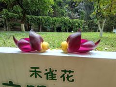 -天鹿湖森林公园