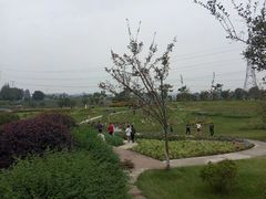 -紫颐香薰山谷景区