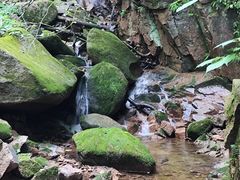 -三块石国家森林公园