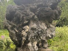 -黄兴公园