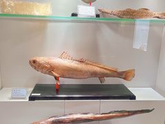 -南京中医药大学(仙林校区)