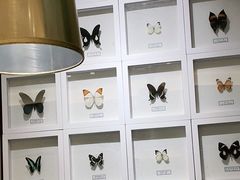 -峨嵋小镇(远洋城店)