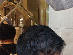 -碧莲盛·不剃发植发