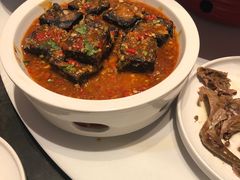 -鸽子侯·家宴·平价海鲜(市图书馆店)