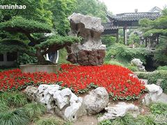 -盆景园(扬州大运河文化旅游度假区)