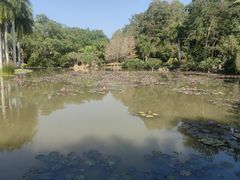 -中国科学院西双版纳热带植物园