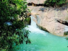 -广州白江湖森林公园