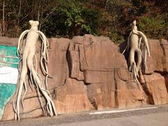 -五女峰国家森林公园