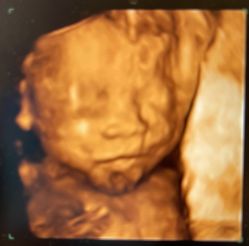 -北京俪婴妇产医院(朝阳大悦城店)