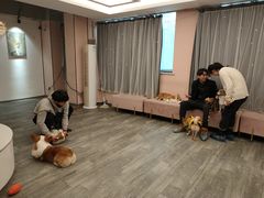 -浣熊柯尔鸭土拨鼠·电玩咖