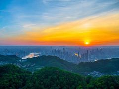-南山植物园