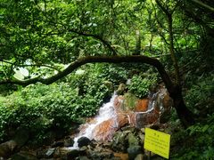 -梧桐山风景名胜区