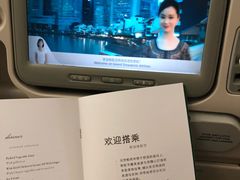 -新加坡航空公司(ION)