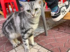-广州海鲜酒楼(长丰园店)